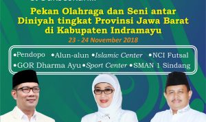 IMG-20181122-WA0032