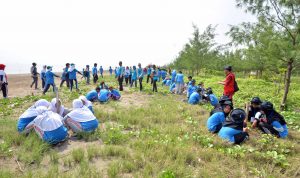 Eco Outbond_2