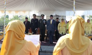 IMG-20181228-WA0035