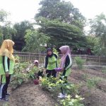 Pertamina RU VI Berdayakan Kebun Gizi Bersama Ibu-Ibu PKK