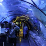 Peringati Hari Pers Nasional, Atlantis Ancol Kasih Diskon Khusus Untuk  Wartawan