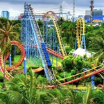 Minggu Ini Ada Pameran Bonsai Unik Di Pasar Seni Ancol 