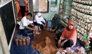 PT Pertamina RU VI Balongan Berdayakan Warga Dengan Budidaya Jamur Tiram