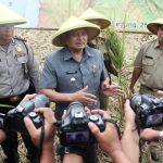 Bupati Indramayu Himbau Untuk Tidak Langsung Menjual Panen Perdana Di Desa Loyang