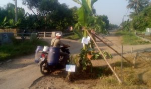 Warga Kesal Jalan Poros Tinumpuk Di Sulap Jadi Perkebunan