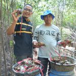 Pembudidaya Kepiting Binaan Pertamina Balongan Yakin Bisa  Mandiri Dengan Hasil Panen Perdana Yang Melimpah
