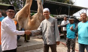 Pertamina Salurkan Hewan Kurban Untuk Warga Indramayu