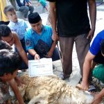 Achmad A’la Derajat Santri Dari  Al Ishlah Tajug Sisihkan Uang Jajan Untuk Beli Hewan Kurban