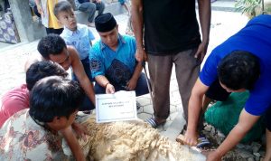 Achmad A'la Derajat Santri di Al Ishlah Tajug Sisihkan Uang Jajan Untuk Beli Hewan Kurban