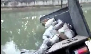 Kecelakaan Maut Di Desa Sukalila Jatibarang Indramayu