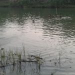 Ghoza Hawari Tenggelam Saat Mandi di Cimanuk