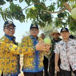 Situ Bolang, Argo Wisata Ikon Kabupaten Indramayu Harus di Lestarikan