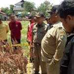 Pemdes Sambimaya Dan Disbudpar Sosialisasi Temuan Bangunan Candi