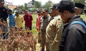 TACB Indramayu Bersama Muspika Juntnyuat Dan Pemdes Sambimaya Sosialisasi Temuan Arkeologi Candi Budha.