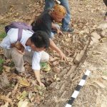 Bata Sambimaya Di Kirim Ke Balai Konservasi Borobudur