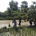 Pencuri Motor Di Pematang Sawah Dihajar Massa