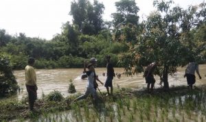 Pencuri Motor Di Pematang Sawah Dihajar Massa