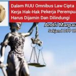 Sekjend DPP LBH PETA Minta DPR Agar Perjuangkan Hak Perempuan Dalam RUU Omnibus Law Cipta Kerja