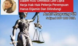 Sekjend DPP LBH PETA Minta DPR Agar Perjuangkan Hak Perempuan Dalam RUU Omnibus Law Cipta Kerja.