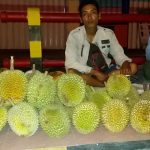 Dampak Covid-19 Durian Dijual Murah