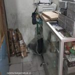 Barang Import Dari Cina Mulai Hilang Di Pasaran, Semenjak Adanya Covid-19