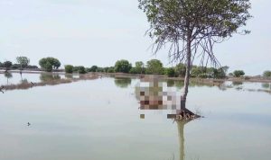Korban Tenggelam Perahu Nelayan KM Putra Bahari Diketemukan Semua