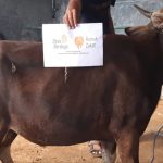 Bantu Warga Terdampak COVID-19, Rumah Zakat-IWO Indramayu Terima Titipan Qurban Sapi dari Masyarakat