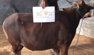 Bantu Warga Terdampak COVID-19, Rumah Zakat-IWO Indramayu Terima Titipan Qurban Sapi dari Masyarakat