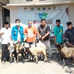 Peringatan Idul Adha Dan HUT Ke 47, DPD KNPI Indramayu Salurkan Hewan Kurban