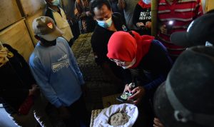 Harapan Baru Peternak Jangkrik di Desa Kertasemaya