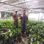 Ketua LMDH Mangrove Mina Lestari Angkat Bicara Terkait Kabar Tidak Sedap Yang Menerpa Kelompoknya