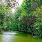 Potensi Wisata Alam Desa Cangkring
