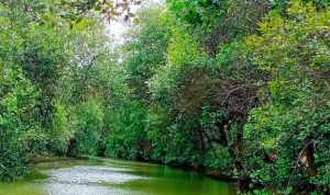 Potensi Wisata Alam Desa Cangkring