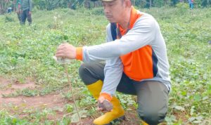 Managemen KPH Bersama LMDH Tanam Pohon Jati