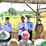 Presiden Jokowi, Situasi Panen Padi Dalam Negeri Aman, Tidak Perlu impor
