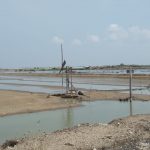 Harga Garam Terpuruk Petani Mengeluh Berharap Bantuan Pemerintah