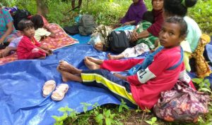 Update Gempa Maluku, BNPB Terus Monitor Dampak Gempa M 6,1
