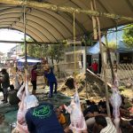 Hewan Kurban Bantuan Pertamina RU VI Disyukuri Masyarakat Desa Majakerta