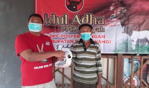 DPC PDI Perjuangan Banyuwangi Kurban 5 Ekor Sapi
