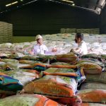 Kunjungi Gudang Bulog, Presiden Pastikan Stok Beras Nasional Mencukupi