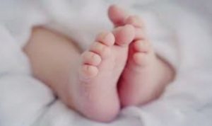 Mahasiswi Buang Bayi Ke Tong Sampah di Ringkus Polisi