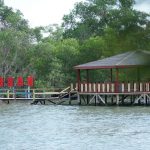 Pertamina Perbaiki Kondisi Terumbu Karang dan Ubah Jadi Desa Wisata