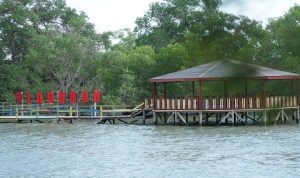 Pertamina Perbaiki Kondisi Terumbu Karang dan Ubah Jadi Desa Wisata