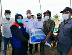 Pertamina Realisasikan Bantuan Bibit dan Pakan Ikan untuk Petani Tambak Indramayu