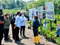 Tanam Mangrove Bersama Masyarakat, Presiden: Untuk Antisipasi dan Mitigasi Perubahan Iklim