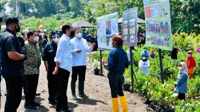 Tanam Mangrove Bersama Masyarakat, Presiden: Untuk Antisipasi dan Mitigasi Perubahan Iklim