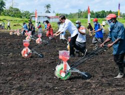 Presiden Jokowi: Tingkatkan Produktivitas Sektor Pertanian di Papua Barat