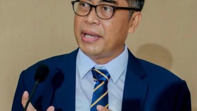 Judicial Review AD/ART Partai Demokrat, Sebuah Paradox