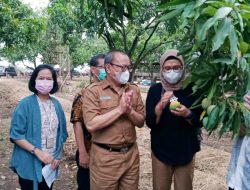 Mangga Sebagai Destinasi Wisata Unggulan Indramayu