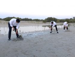 Saat Presiden Jokowi Tanam Mangrove di Abu Dhabi